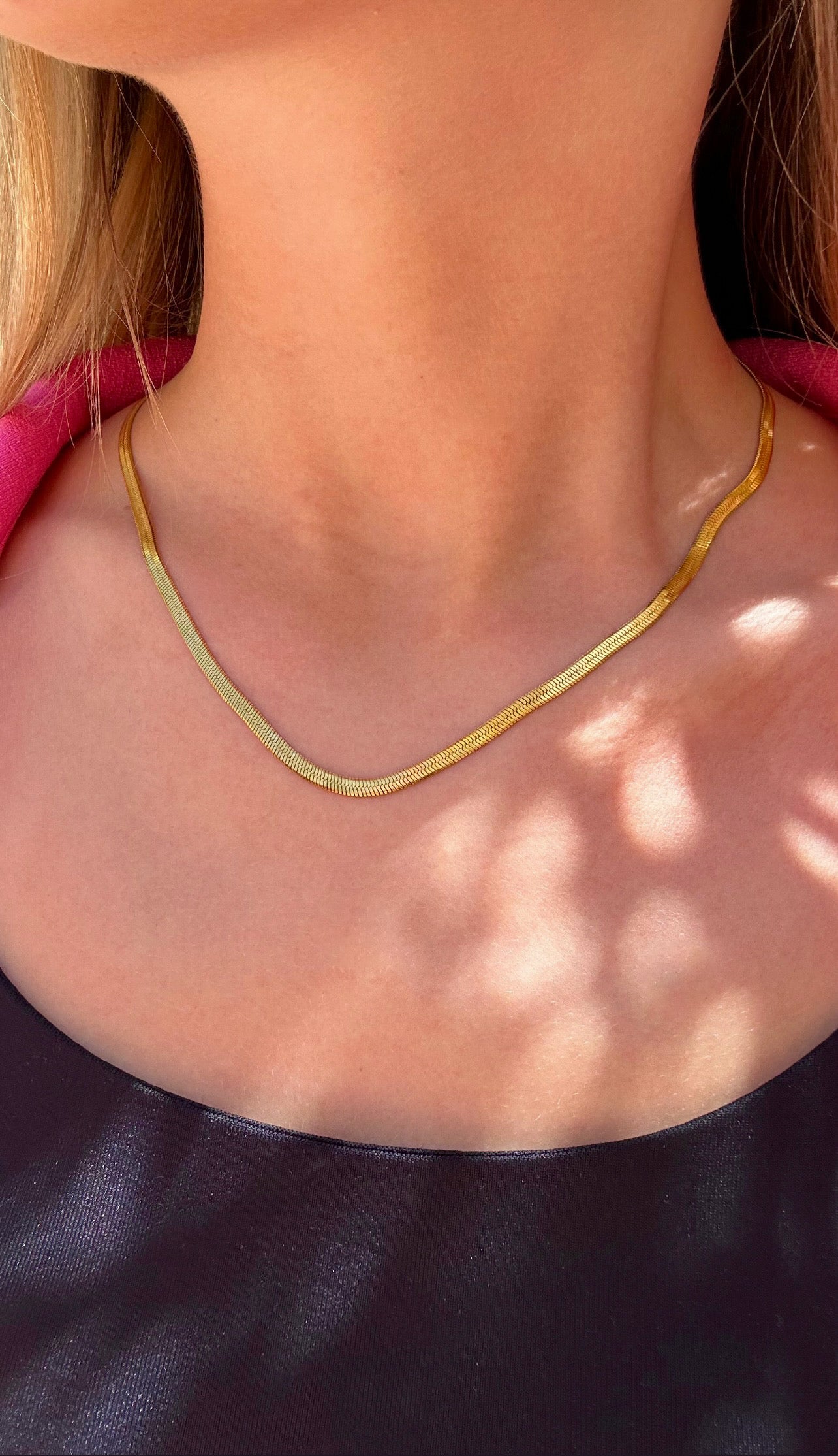 Collier snake