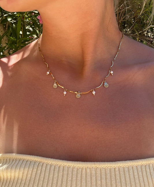 Collier coquillage