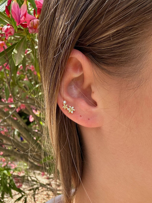 Piercing Rio